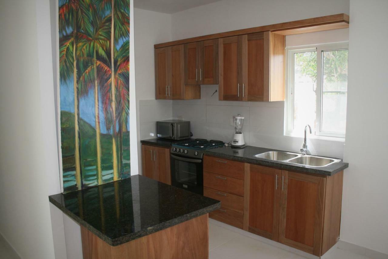 Villa Deluxe Costambar Puerto Plata Екстериор снимка